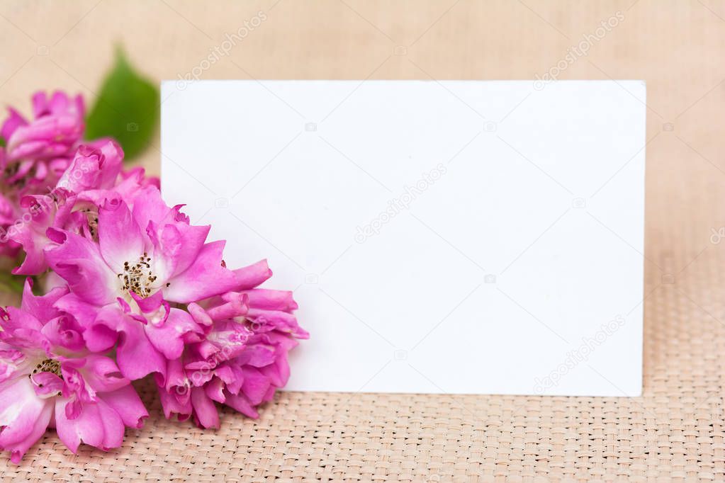 Flowers greeting card