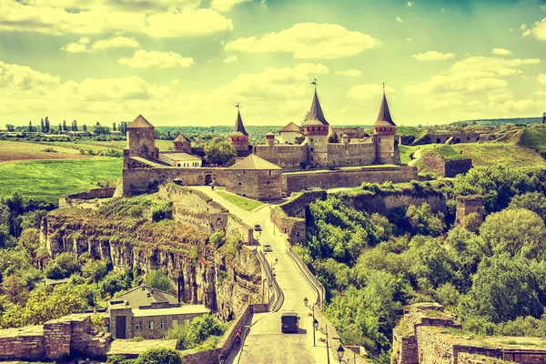 Vue sur le château à Kamyanets-Podilskyi Images De Stock Libres De Droits