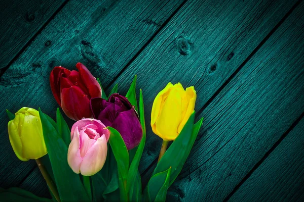 Tulipán květ kytice — Stock fotografie
