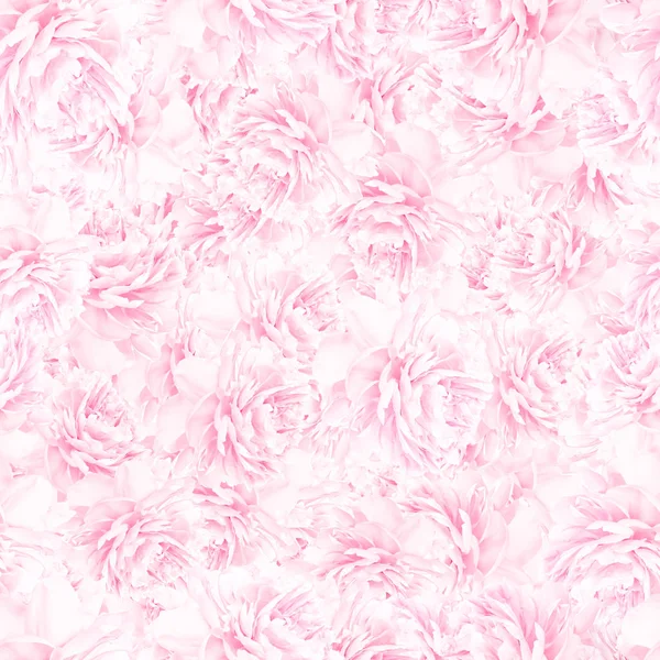 Naadloze patroon van roze pioen bloesems — Stockfoto