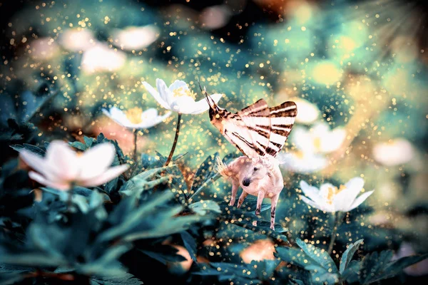 White fairy unicorn with butterfly wings on blooming anemone flower in spring forest. Realistic fairytale magic manipulation. Vintage toned — Stock Photo, Image