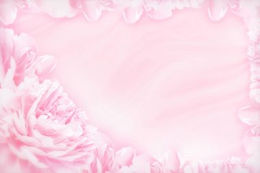 Şakayık çiçekleri hassas mevsimlik çerçeve çiçek. Sığ derinliği. Tebrik kartı arka plan. Çiçek şablon. Yumuşak pastel tonda.