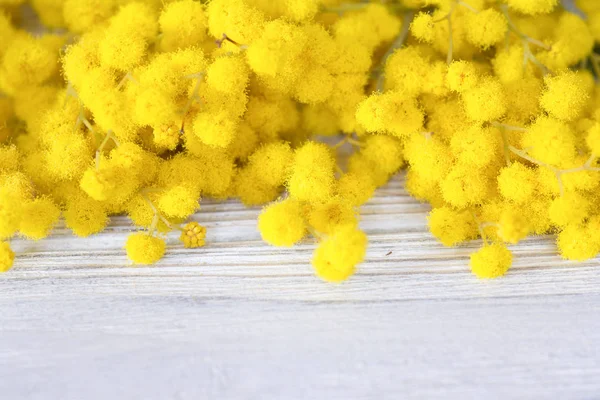 Beautiful mimosa flower bloom on white wooden background. Greeting card template. Shallow depth. Copy space. Spring nature — Stock Photo, Image