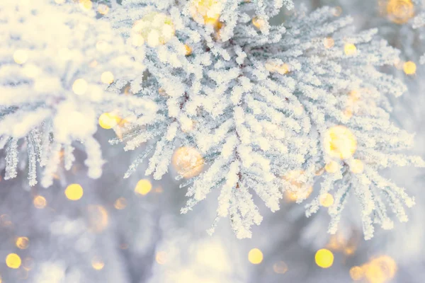 Jul vinter gran natursköna bakgrund. Filialer täckta med snö i frosten. Fallande gnistrar och ljus bokeh närbild. Mjuk vintage tonad blå, guld och lila. gratulationskort bakgrund — Stockfoto