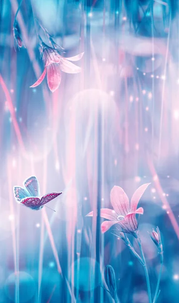 Dreamy spring bellflowers bloom, butterfly close-up, sunlight vertical panorama. Spring floral mixed media art. Artistic toned image. Pastel blue pink toned. Macro with soft focus. Nature background — 스톡 사진