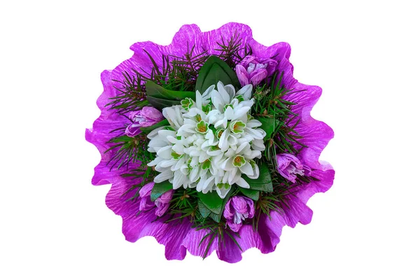 Bouquet Fleurs Goutte Neige Avec Brindilles Sapin Fleur Violette Isolée — Photo