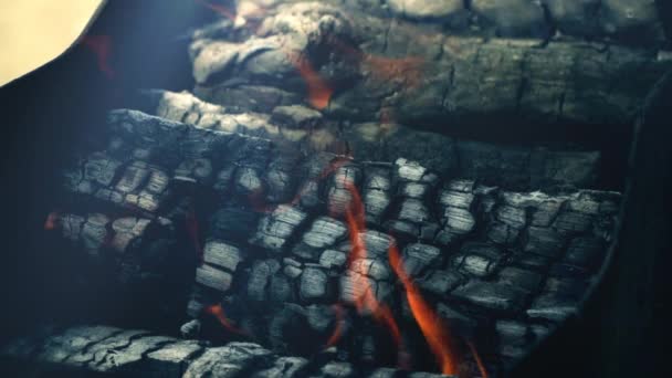 Brinnande trä i en brazier — Stockvideo