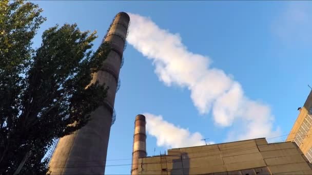 Witte rook uit de leidingen tegen de blauwe hemel — Stockvideo