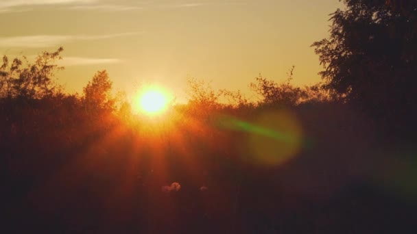 Puesta de sol en el campo. — Vídeos de Stock