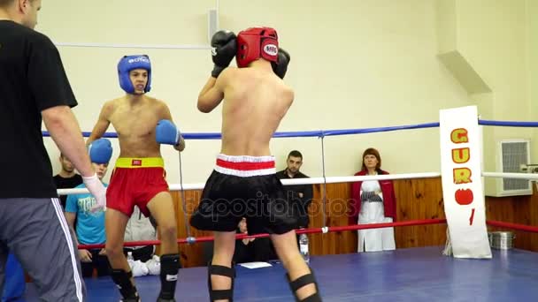 Batendo dois boxers de chute — Vídeo de Stock