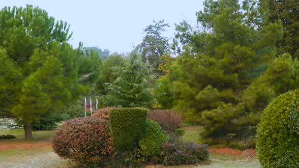 Parque Paisagem em um fundo céu azul — Vídeo de Stock