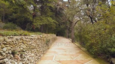 Bir zeytin grove yakınındaki kumlu parça