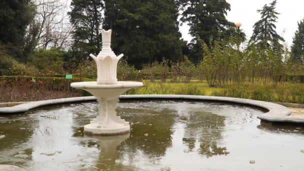 Замороженный фонтан в парке — стоковое видео