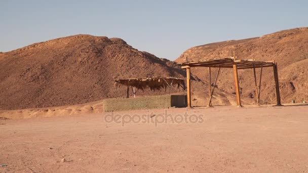 Canopy del sol en el desierto — Vídeo de stock