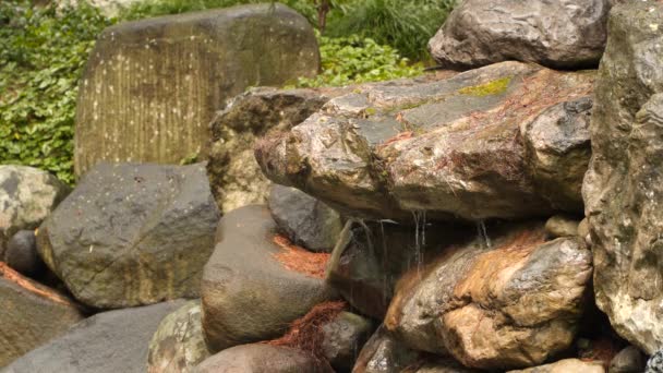 Corriente entre piedras — Vídeo de stock