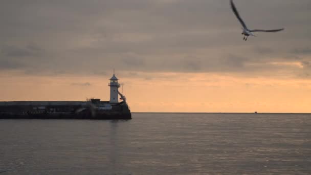 Phare contre le ciel du soir. Mouette volante visible 