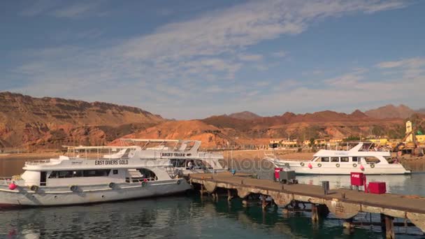 Човен насолоди від готелю плаває в море від порту — стокове відео