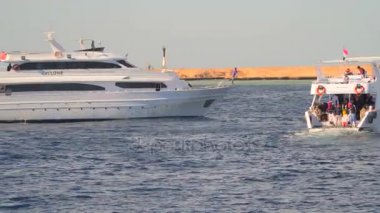 Bir kayalık sahil karşı denizde dalış yapan insanlar ile yelkenli