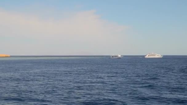 Barcos de recreo blancos en el mar — Vídeo de stock