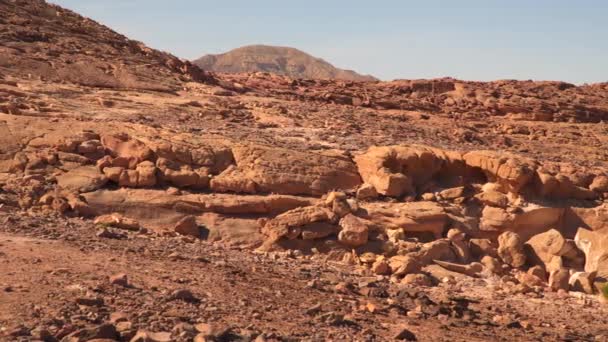 De woestijn levenloze bergen in Sinaï — Stockvideo