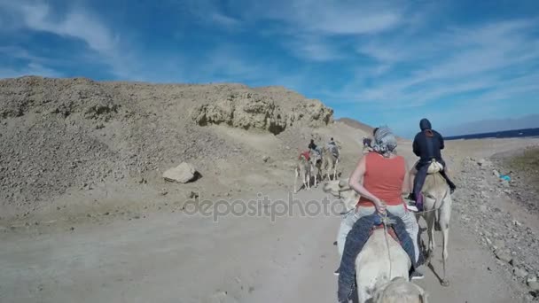 Люди на верблюдах катаются по пляжу — стоковое видео