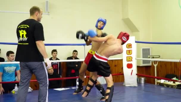 Duell zweier Jungs im Ring — Stockvideo