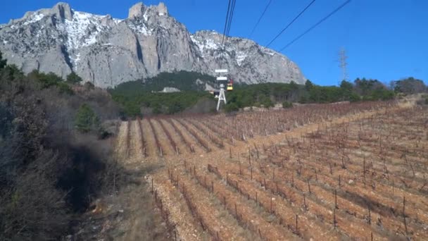 Tiro con el teleférico sobre el viñedo — Vídeos de Stock