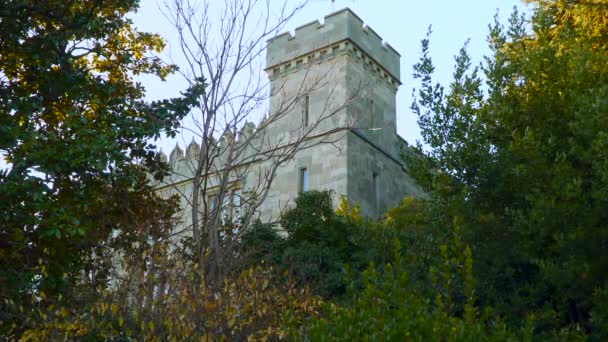 La torre del castillo entre los árboles en el bosque — Vídeo de stock