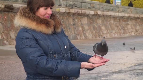 女性の手に鳩 — ストック動画