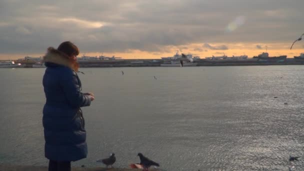 Uma mulher está a alimentar gaivotas. Hora da noite — Vídeo de Stock
