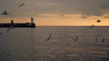 Pier deniz feneri ile zemin karşı martılar sinek. Akşam saat