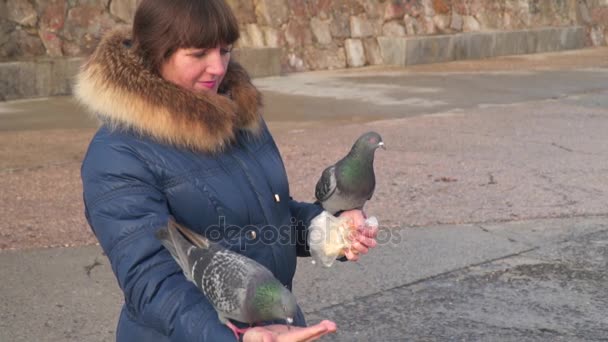 Duiven in de handen van vrouwen — Stockvideo