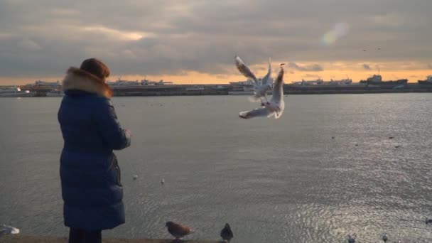 一个女人是站在岸上，饲喂海鸥。晚上的时间 — 图库视频影像
