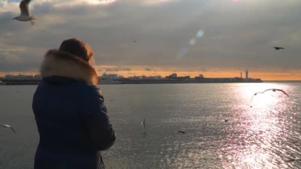 Μια γυναίκα είναι σίτιση γλάρους στο ηλιοβασίλεμα — Αρχείο Βίντεο