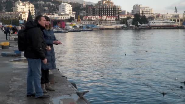 Жінка і чоловік годують чайки з берега — стокове відео