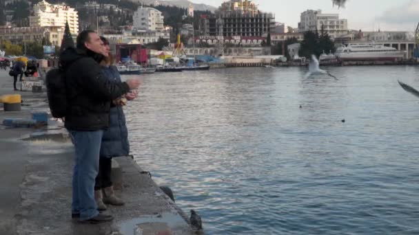 Οικογένεια ζευγάρι σίτιση γλάροι από την ακτή — Αρχείο Βίντεο