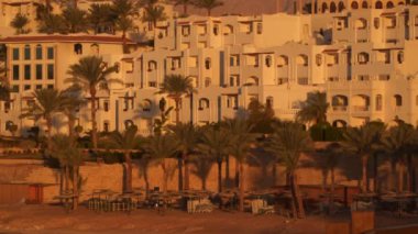 Binalar ve palmiye ağaçları şafakta sahilde