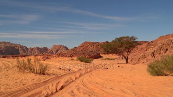 Straße in der Wüste vor der Kulisse von Bergen und blauem Himmel — Stockvideo