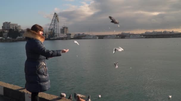 Женщина кормит морских птиц — стоковое видео