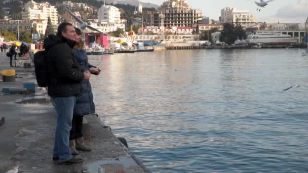 Turistas alimentam gaivotas — Vídeo de Stock