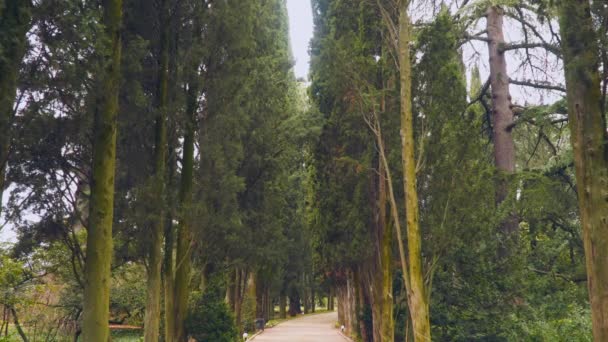 Ruelle du Cyprès Yalta Crimée — Video