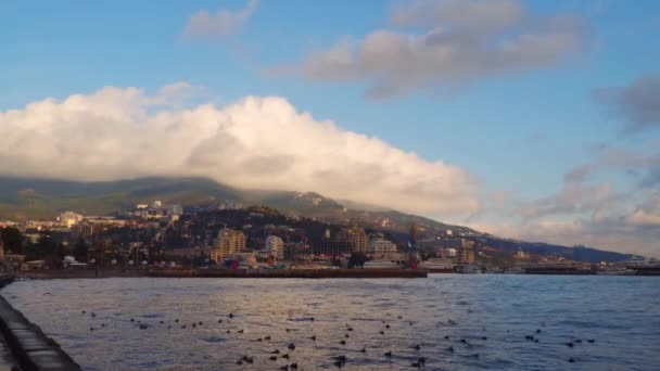 De kust van de stad bij dageraad — Stockvideo