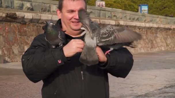 Dos palomas en las manos de un hombre están luchando — Vídeos de Stock