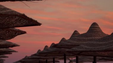 Plaj şemsiyeleri şafak gökyüzüne karşı bir dizi