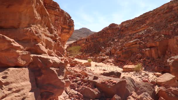 颜色的峡谷。埃及西奈半岛 — 图库视频影像