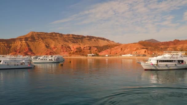 Bateaux de plaisance dans le port — Video