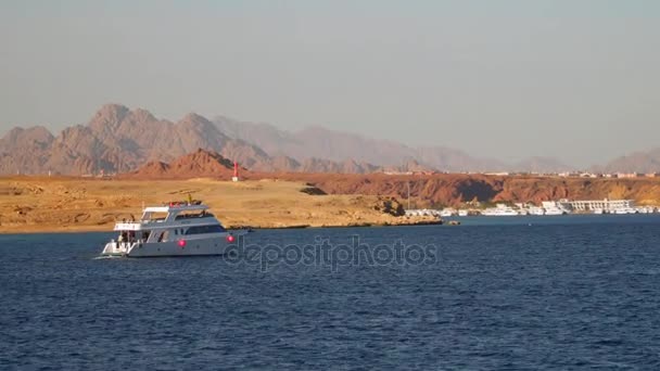 Bateau de plaisance flottant dans le port — Video