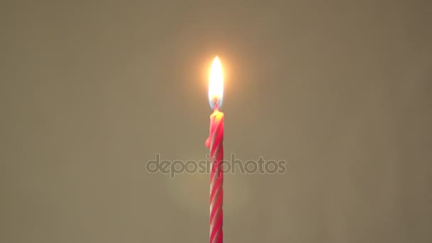 Candela per il compleanno — Video Stock