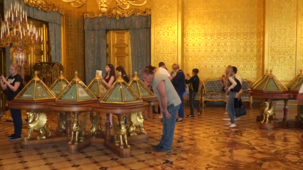 Turistas observando atracciones en el Hermitage — Vídeo de stock