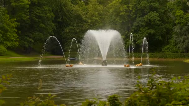 Brunnen im Teich. rund um die Bäume — Stockvideo